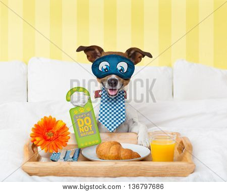 Do Not Disturb Sign With Dog