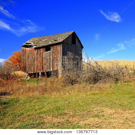 abandoned farm building barn grass pasture fields