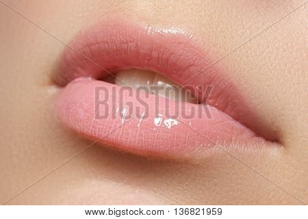 Beautiful Full Pink Lips. Lipstick. Professional Make-up