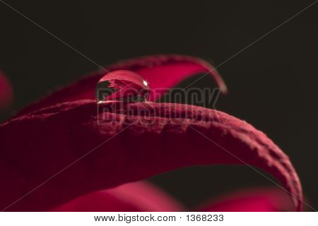 Waterdrop