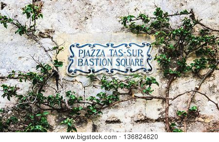 Traditional Maltese street name sign painted on ceramic tile placed on the stone wall entwined with climbing bush plant city of Mdina Malta