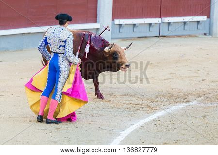 Corrida. Fighting in a typical Spanish Bullfight