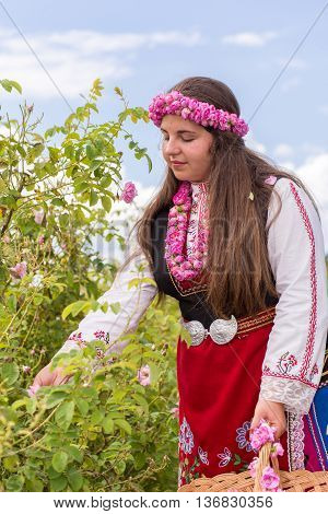 Girl Picking Roses