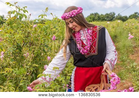 Girl Picking Roses