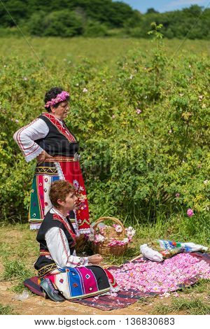 Rose Picking Festival
