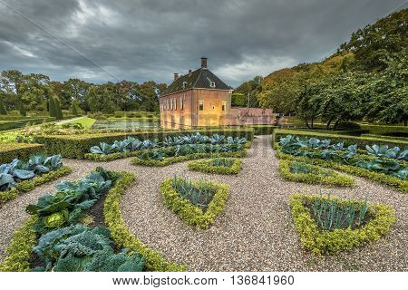 Verhildersum Creative Cabbage Garden With Vegetables