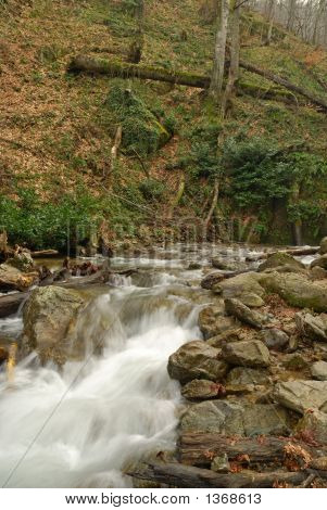 フォレスト内のクリーク