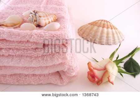 Bad Stilllife