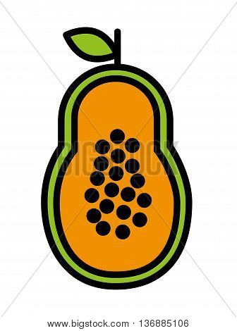 fesh fruit papaya  isolated icon design, vector illustration  graphic