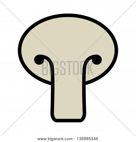 fesh vegetable mushroom  isolated icon design, vector illustration  graphic