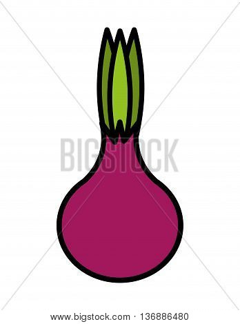 fesh vegetable onion isolated icon design, vector illustration  graphic