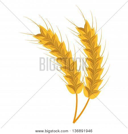 Wheat harverst icon isolated on white background, vector illustration.