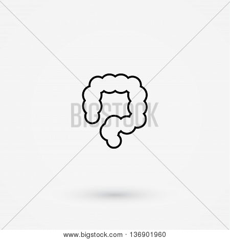 Vector colon simple icon. Human internal abdomen organs