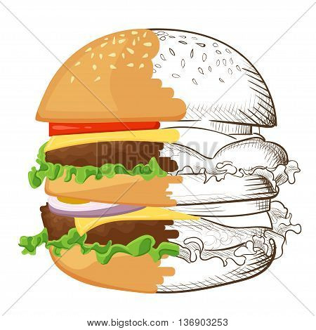 llustration of hand drawn burger. Hamburger Cheeseburger . Vector isolated on white background. Tasty Vector illustrations. Tomato cheese salad.