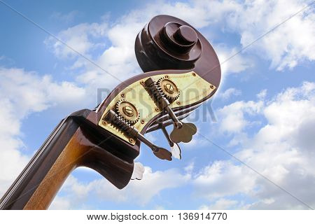 double bass detail of the music instrument neck head with tuning pegs and scroll against a blue sky with clouds view from below copy space