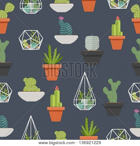 Cactus and succulent seamless pattern vector background