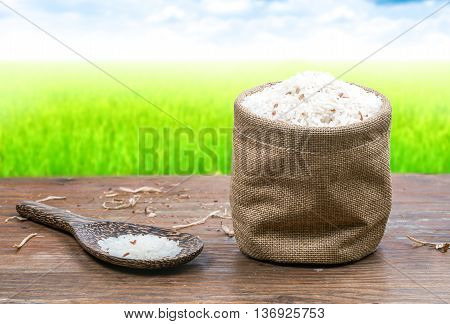 Rice in small sack on fields and blue sky for background