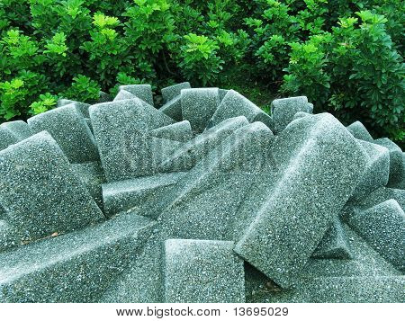 pierres et arbustes