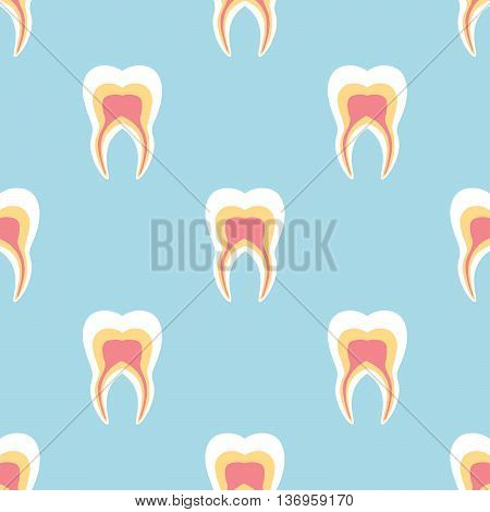Seamless pattern with teeth of a person. The tooth in cross section.