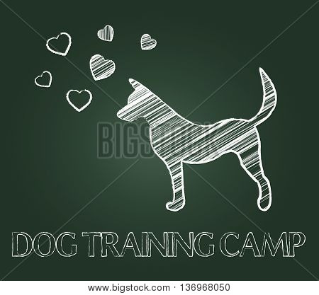 Dog Training Camp Shows Instruction Taught And Canine