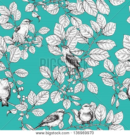 Hand drawn birds sitting on branches with leaves and berries. Black and white image of songbirds on turquoise background. Vector sketch. Seamless pattern.