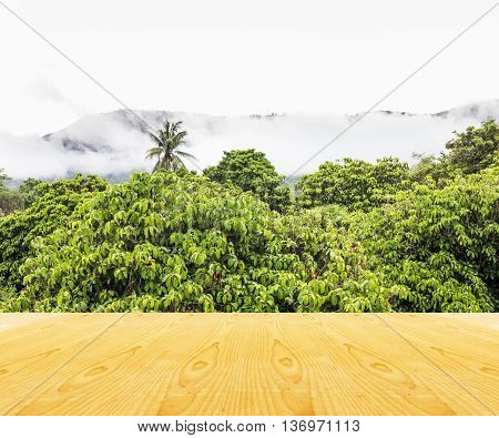 Wooden Table Top With Nountain In Fog Background