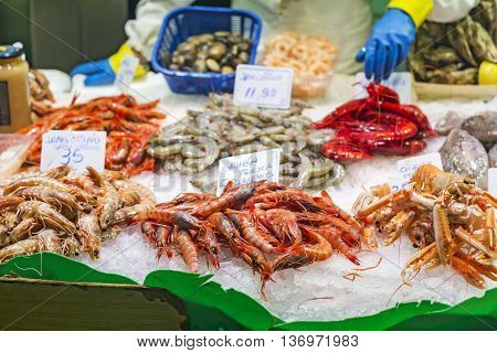 Shrimps and prawns fresh seafood in the fish market in Barcelona