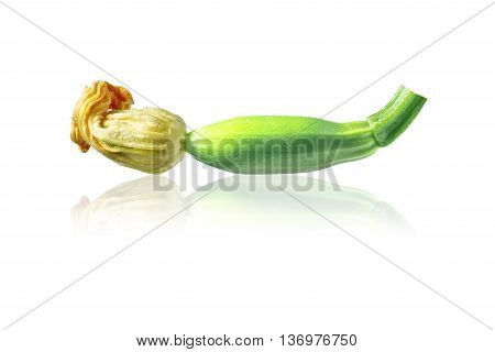 Flowering and ripe fruit of zucchini isolated on white