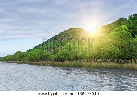 River Ropotamo in Bulgaria at sunset in summer.