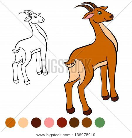 Coloring page. Color me: antelope. Little cute antelope stands and smiles.