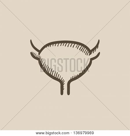 Urinary bladder vector sketch icon isolated on background. Hand drawn Urinary bladder icon. Urinary bladder sketch icon for infographic, website or app.