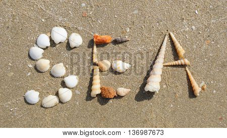 SEA word made of seashells on the sandy beach Thailand.