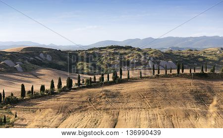Crete Senesi, Siena, Tuscany, Italy
