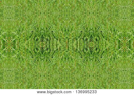 Abstract geometric seamless plain background. Ornate and extensive diamond pattern green shades, quiet color.
