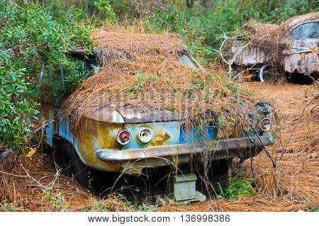 An old rusted out scrap car that has been abandoned in the woods