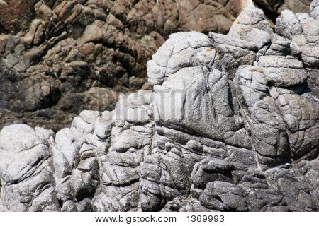 Rochers de la côte de Monterey
