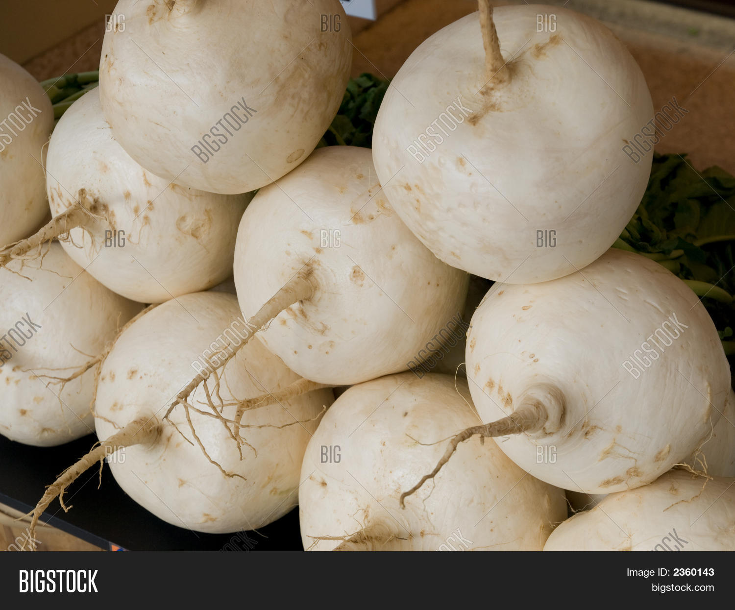 Japanese Turnip Image & Photo (Free Trial) Bigstock
