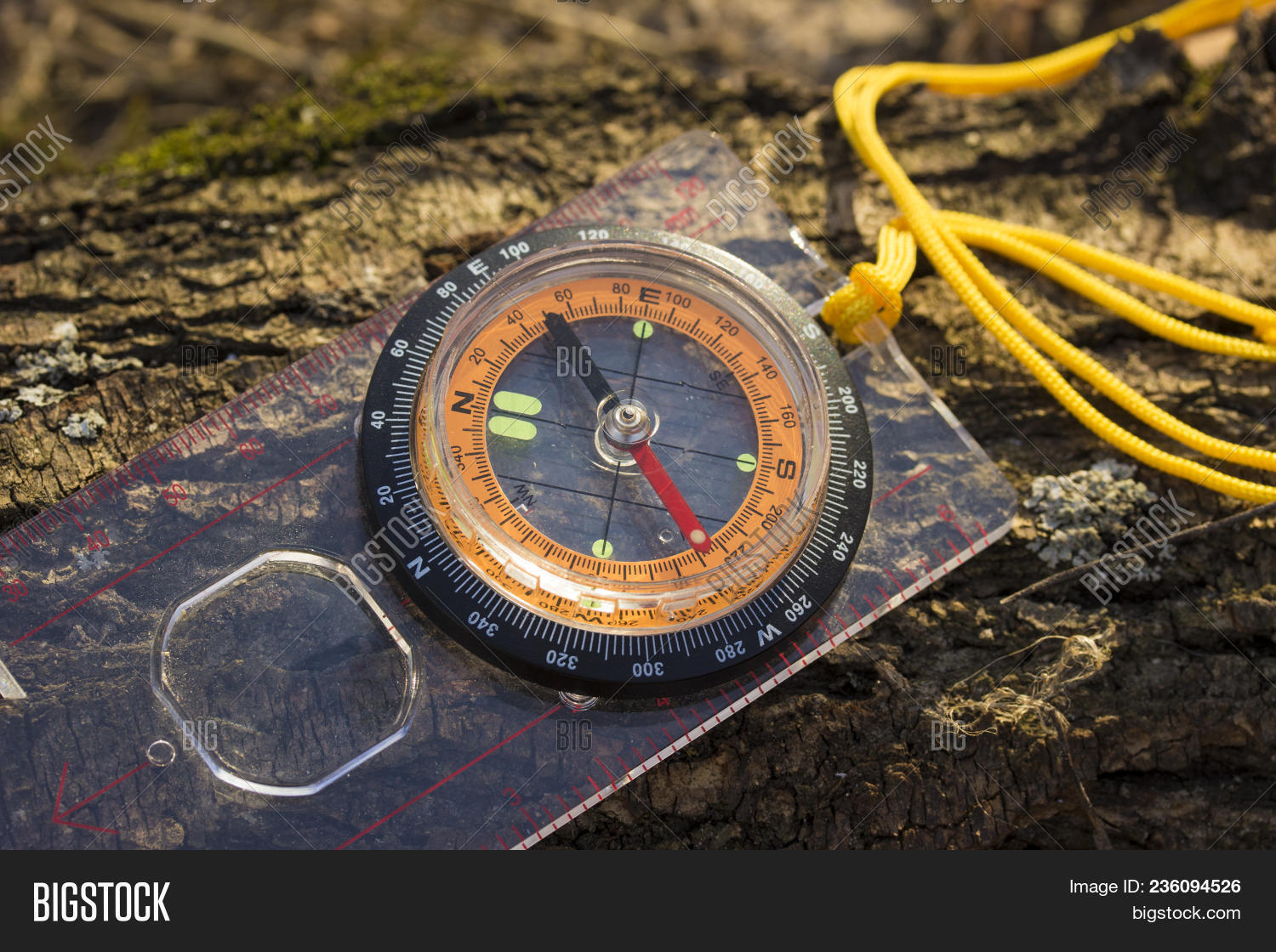 Bright Compass Orange Image & Photo (Free Trial) Bigstock