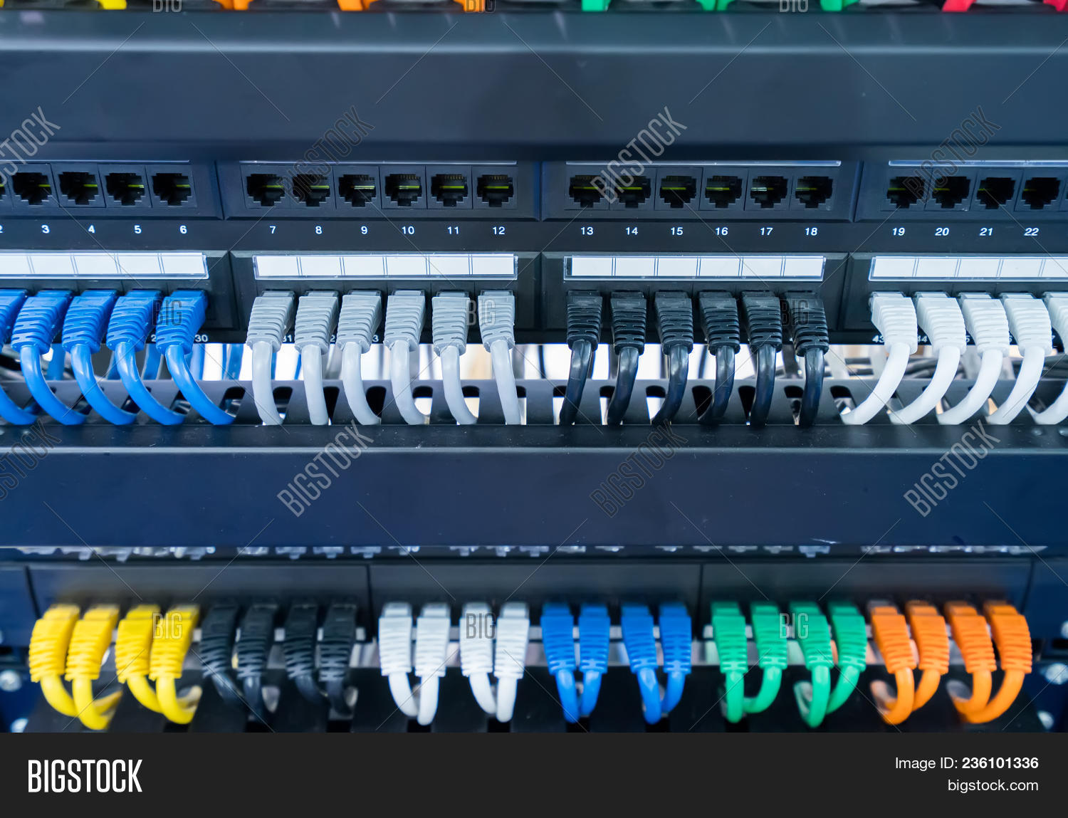 Network Cables Switch Image & Photo (Free Trial) Bigstock
