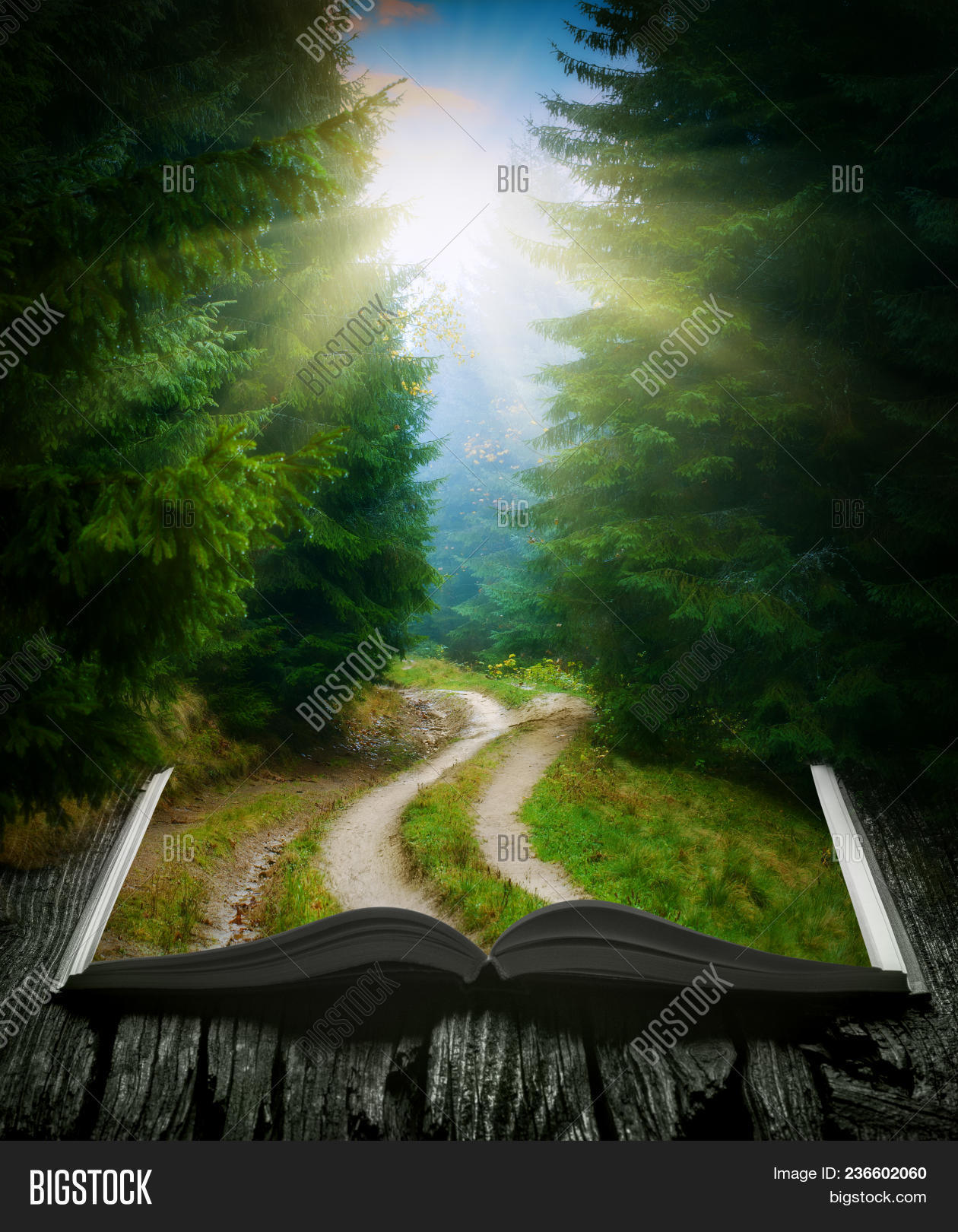 Way Through Misty Image & Photo (Free Trial) | Bigstock