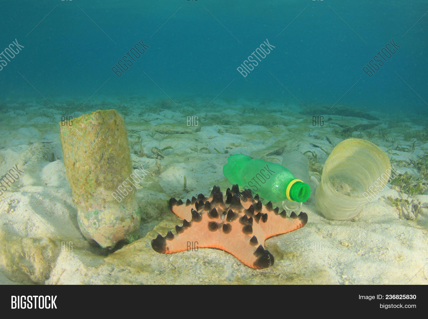 Plastic Pollution Image Photo Free Trial Bigstock