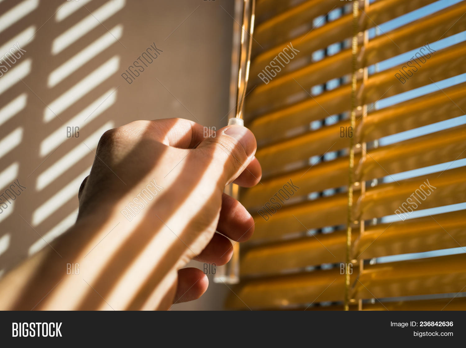 Window Jalousie. Hand Image & Photo (Free Trial) Bigstock