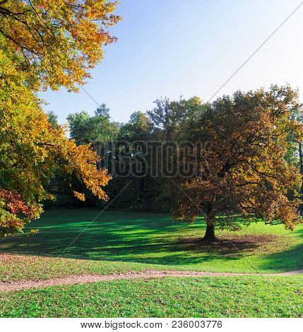 Park In Autumn