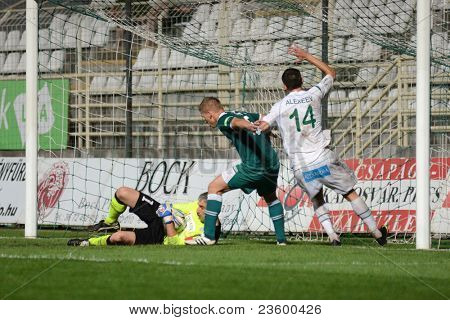 KAPOSVAR, Ungheria - 10 settembre: Serghei Alexeev (in bianco) in azione presso un campione nazionale ungherese