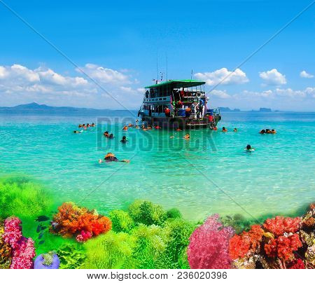 Tourists Snorkeling In Andaman Sea At Ko Kradan Island At Thailand. Collage Of Underwater Coral Reef
