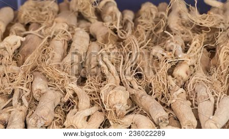 Ginseng Traditional Chinese Herb.dry Ginseng Roots In Asia Market And Traditional Phamacy