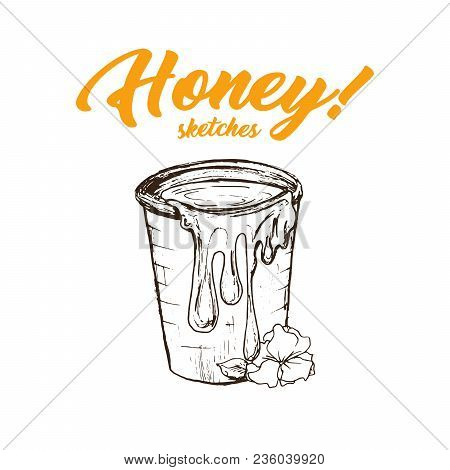 Honey Sketches Bucket, Honey Hand Drawn Superfood Organic Products Design, Vector Illustration. Blac
