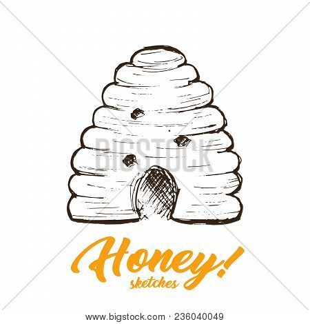 Honey Sketches Apiary, Honey Hand Drawn Superfood Organic Products Design, Vector Illustration. Blac