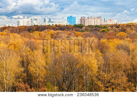 Above View Of Urban Timiryazevskiy Park And Apartment Houses In Moscow City In Autumn