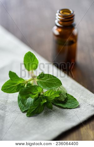 Essential Oil Of Peppermint In A Small Brown Bottle With Fresh Green Mint On An Old Wooden Backgroun